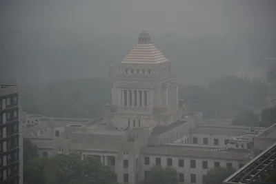 DSC_3182 (Large).JPG